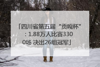 四川省第五届“贡嘎杯”：1.88万人比赛3300场 决出26组冠军